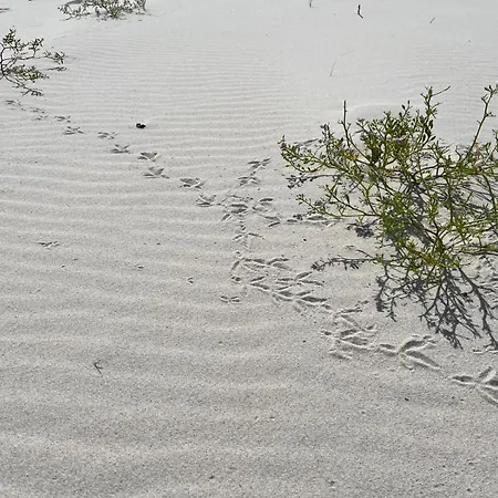 ヴィラ Bialogorachill11c Białogóra