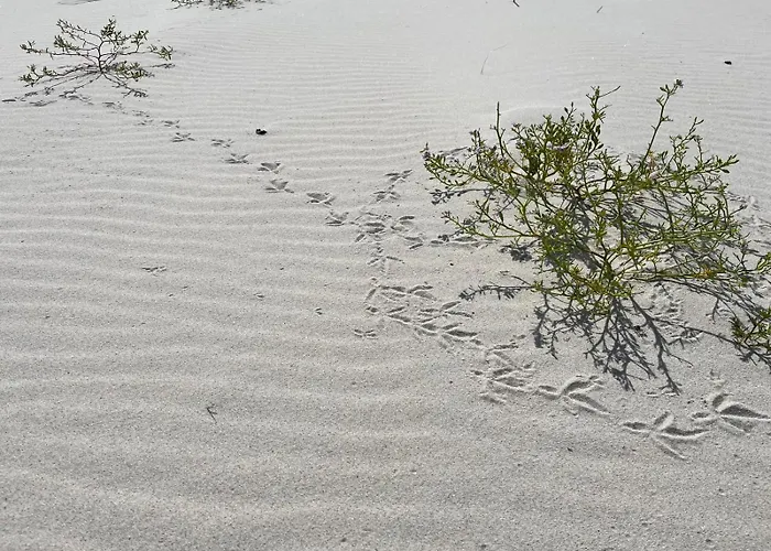 Willa Białogórachill 11c Całoroczne I Active Białogóra